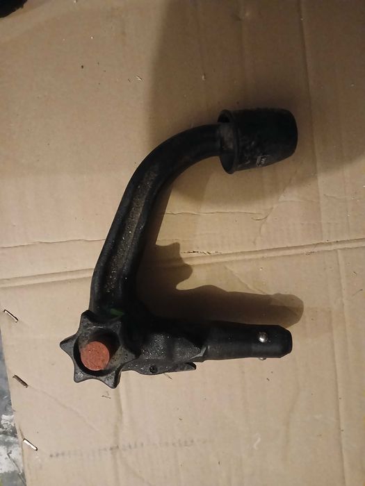 Hak kulowy  westwalina