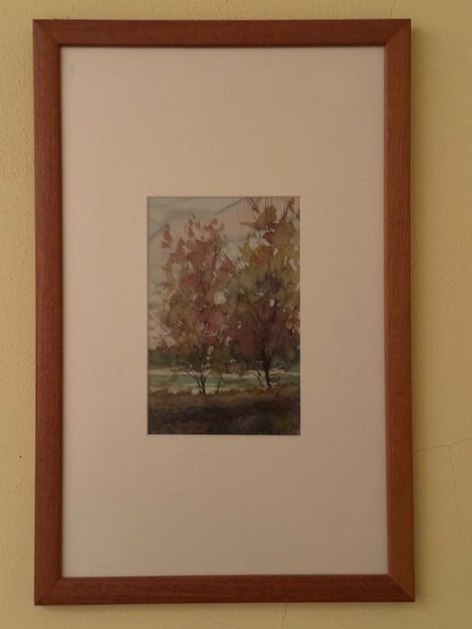 Conjunto de aguarelas Xavier Galiza