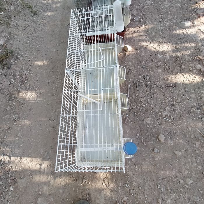 Gaiolas para canários