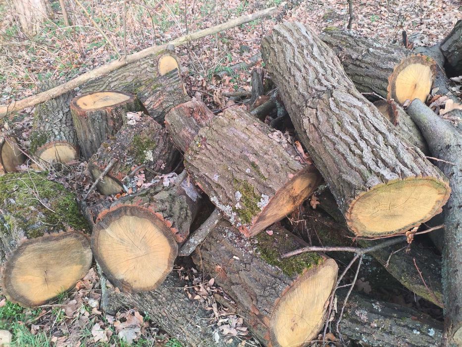 Sprzedam drewno opałowe - dębina, sezonowane , suche