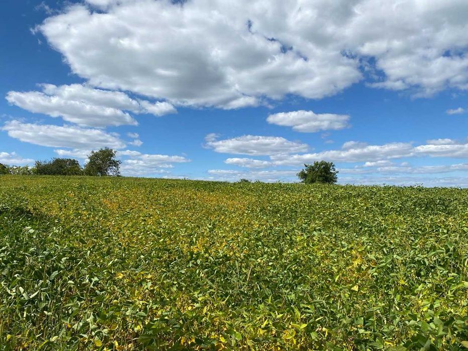 Продам ділянку біля Рівного