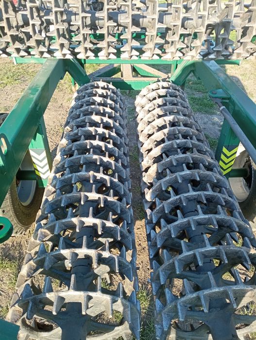 Коток кольчато шпоровий.ККШ 6.