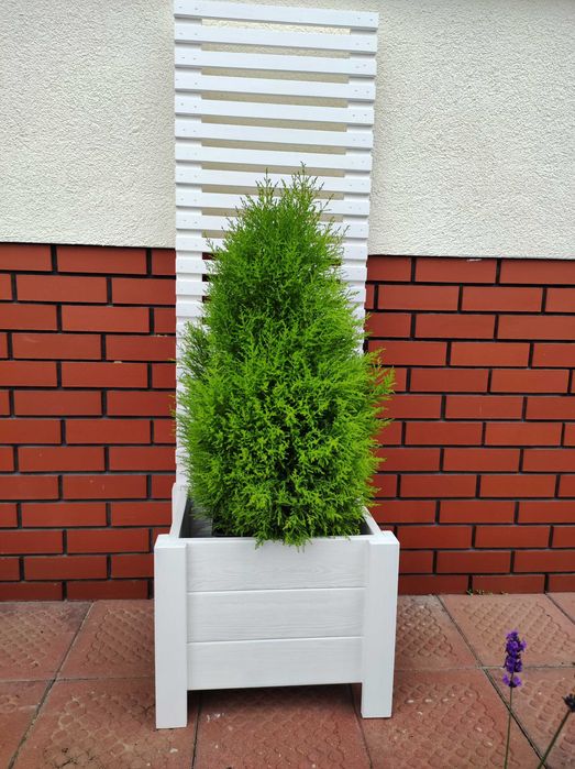 Pergola Drewniana na balkon lub taras