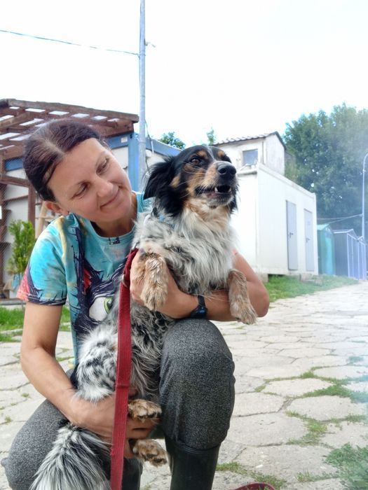 Pepper, lubi KOTY, mały. (FILMIKI)