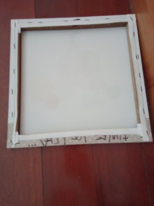 Telas de gatinhos64550495710593121