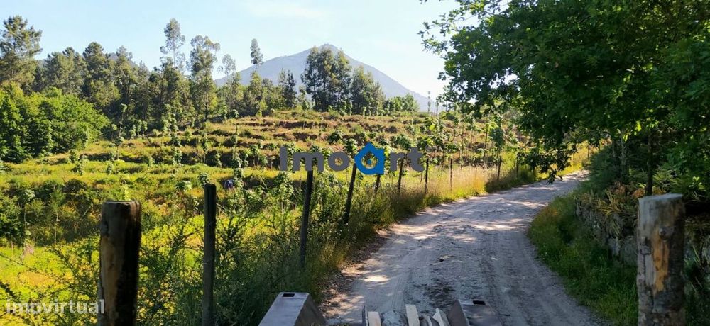 Terreno agrícola, com possibilidade de construção de moradia! — Mondim de Basto, Vila Real