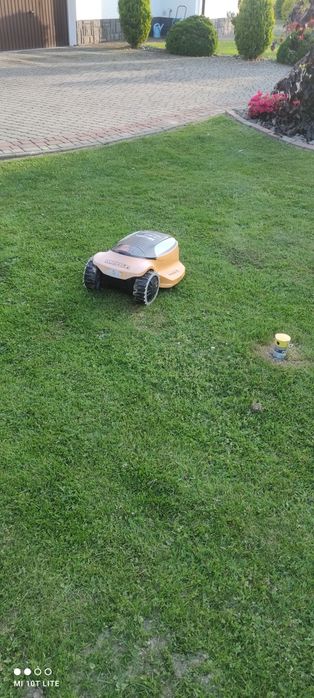 Robot koszący Cub Cadet.