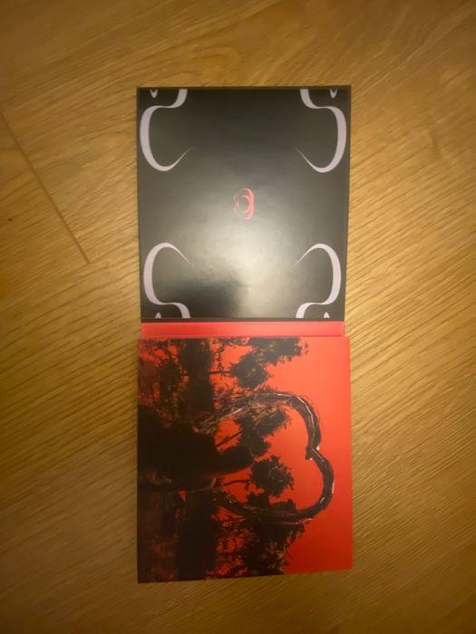 Płyta Julii Zugaj „miłostki ”