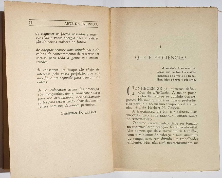 Arte de triunfar, A eficiência em 20 lições