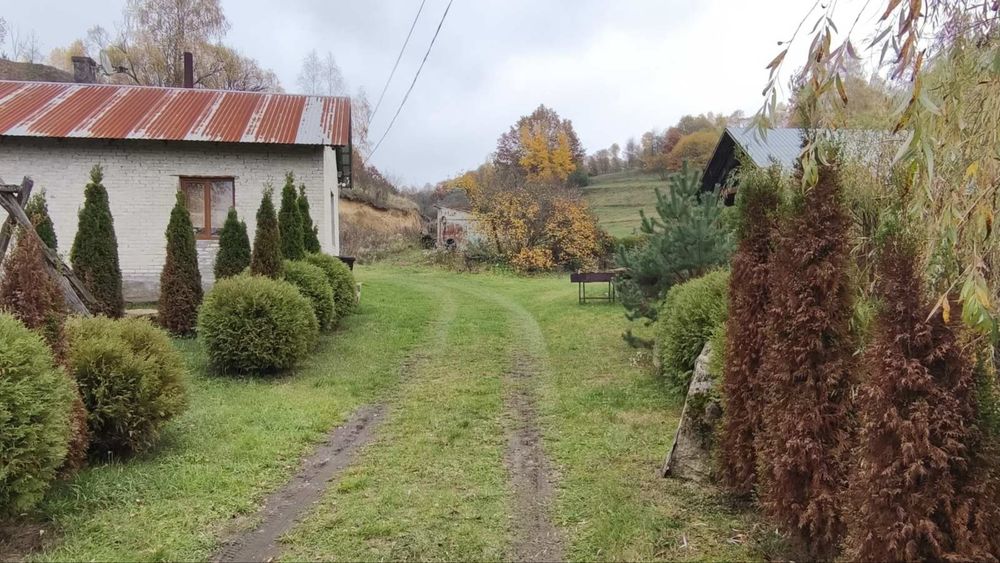 Оренда будинку с.Лозино