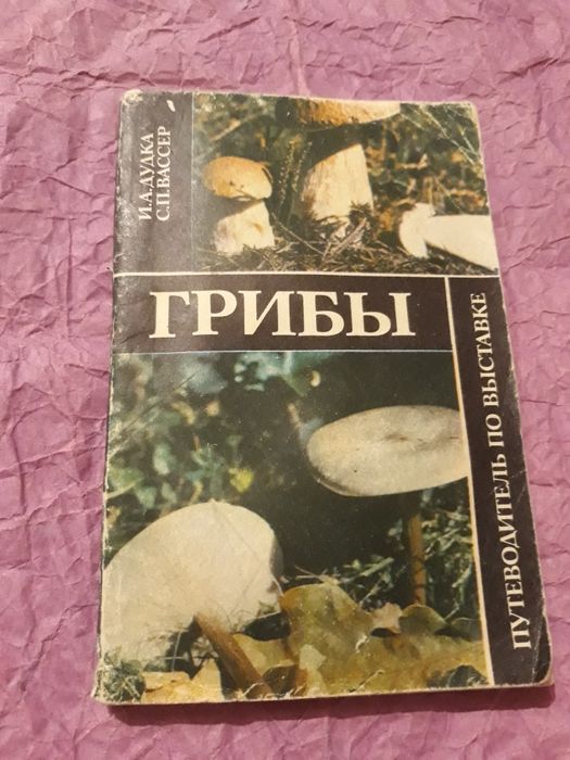 Г. Дудка. Биология грибов