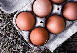 Ovos de poedeira criadas ao ar livre