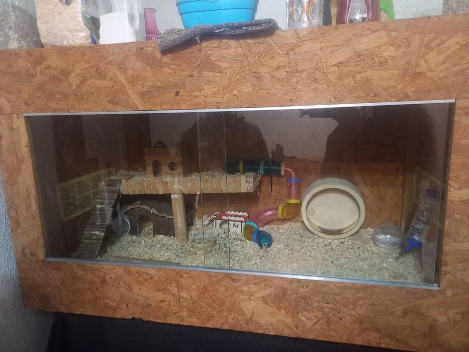 Terrario para repteis ou anfibios