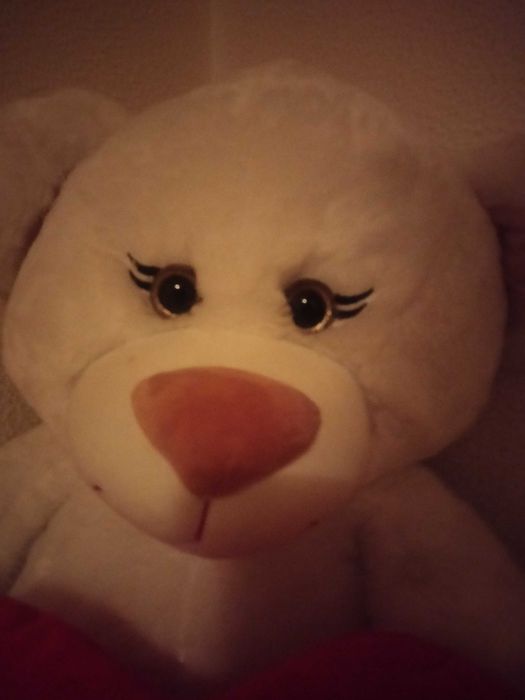 50 cm Plush Bear429046747230392322