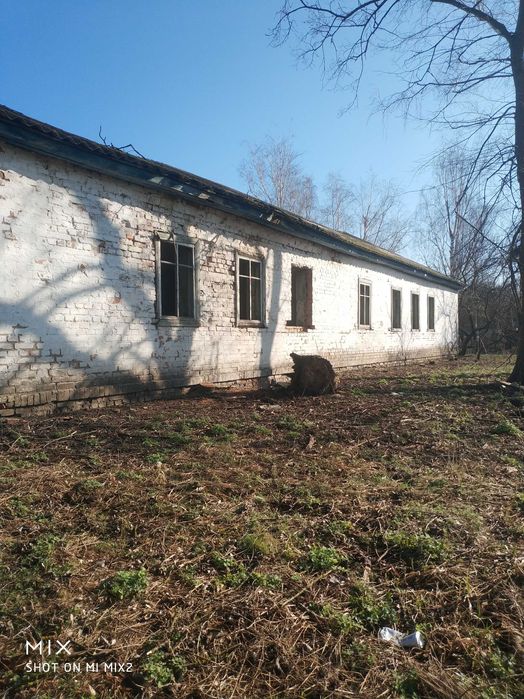 Нежитлова будівля, 1980 року побудови, загальною площею 250 кв. м.,