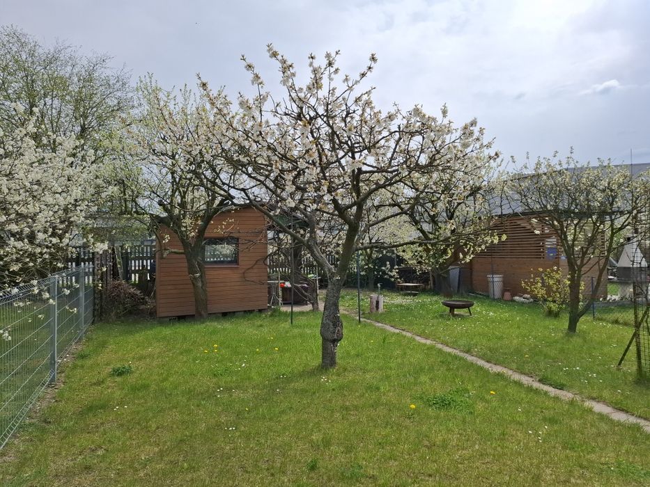Działka ogród ROD Włókniarz Lubliniec - Widok 3