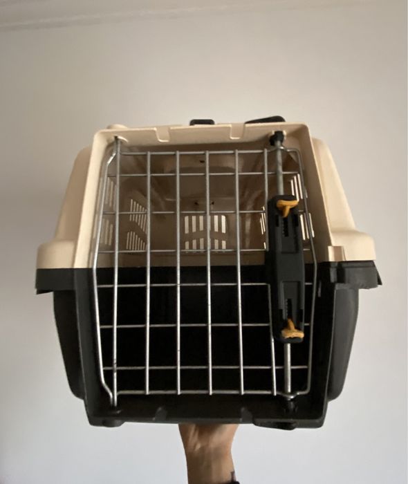 Transportadora de animais de porte pequeno