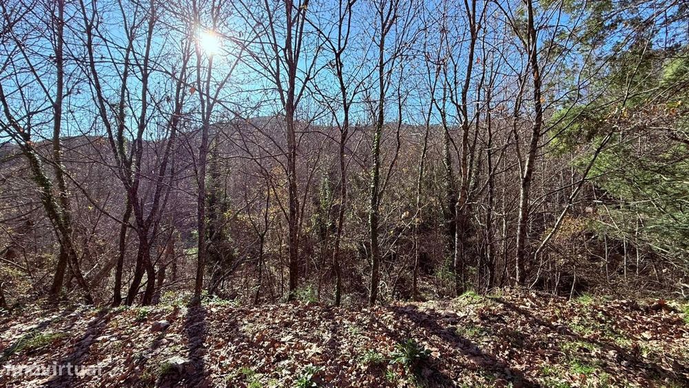 Terreno em Veade, Gagos e Molares