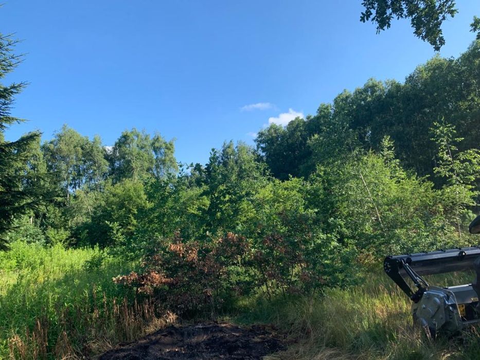 Mulczowanie Karczowanie Rekultywacja Czyszczenie działek