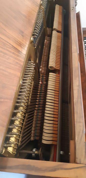 Piano vertical Max Noack