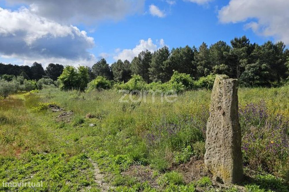 Terreno, Favaios