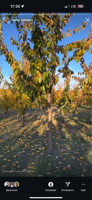 Продаж будинку з виходом до річки