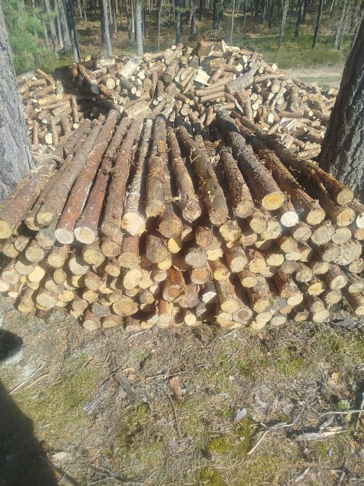 Stemple budowlane 220 cm