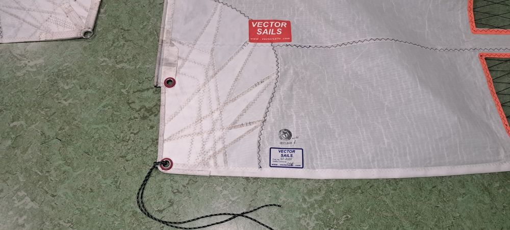 Zagle regatowa do Omegii - Vector Sails 2022 r