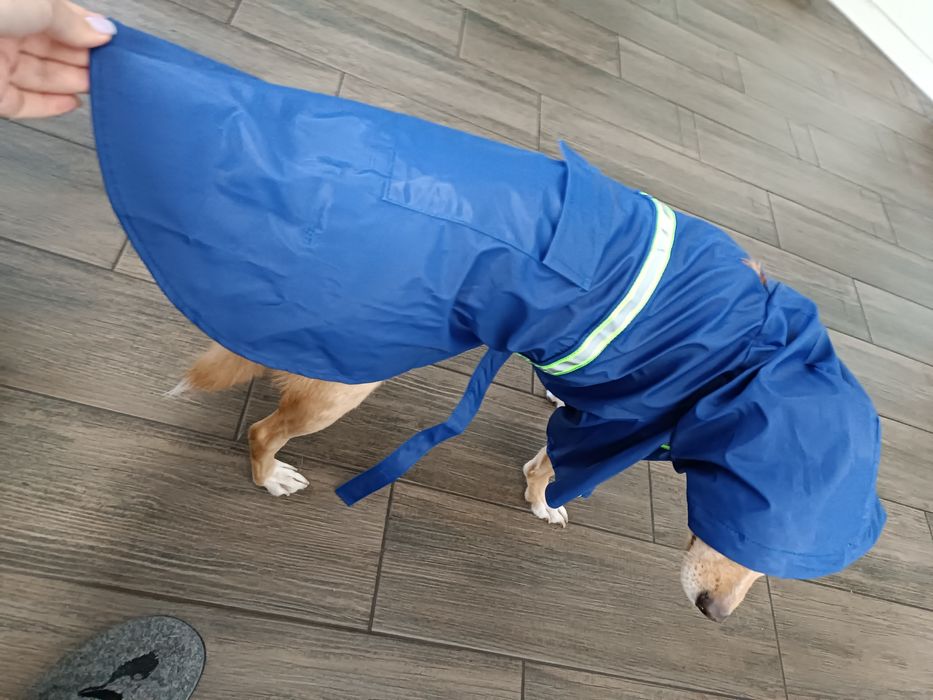 Непромокаемая, прорезиненная куртка для больших собак с капюшоном