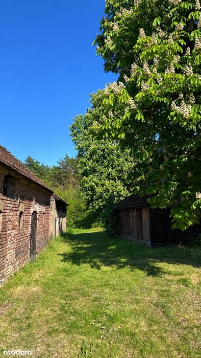 Domek przy lesie, z zabudowaniami, blisko jeziora