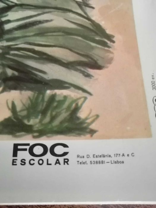 Material didático para o ensino primário, anos 70 - Gravuras
