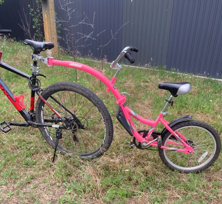 Продам дитячий велоприцеп We Ride Co Pilot
