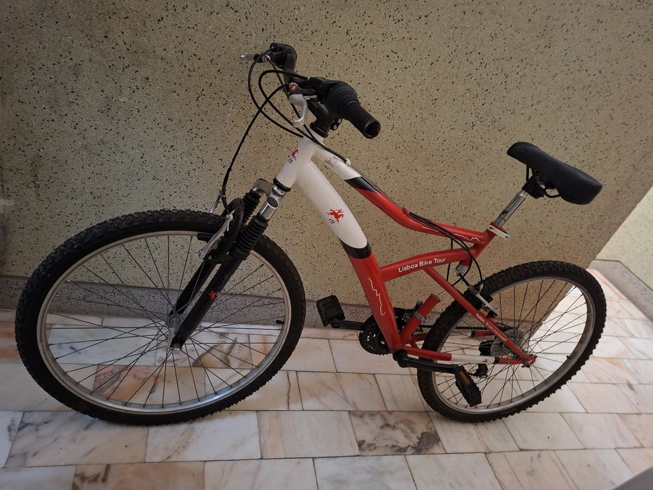 Bicicleta de adulto