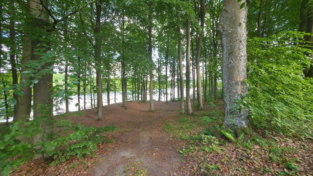 Wynajem domku letniskowego nad jeziorem