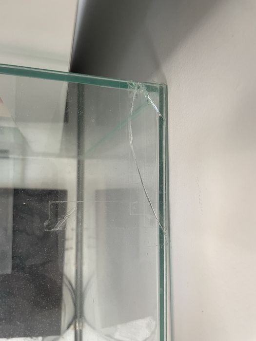 terarium dla zwierzaka