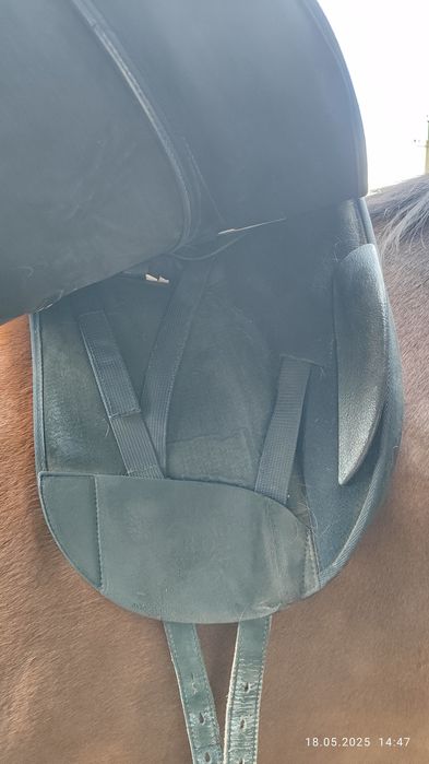 Сідло для коня Wintec Pro Feldmann. Коні , кобила