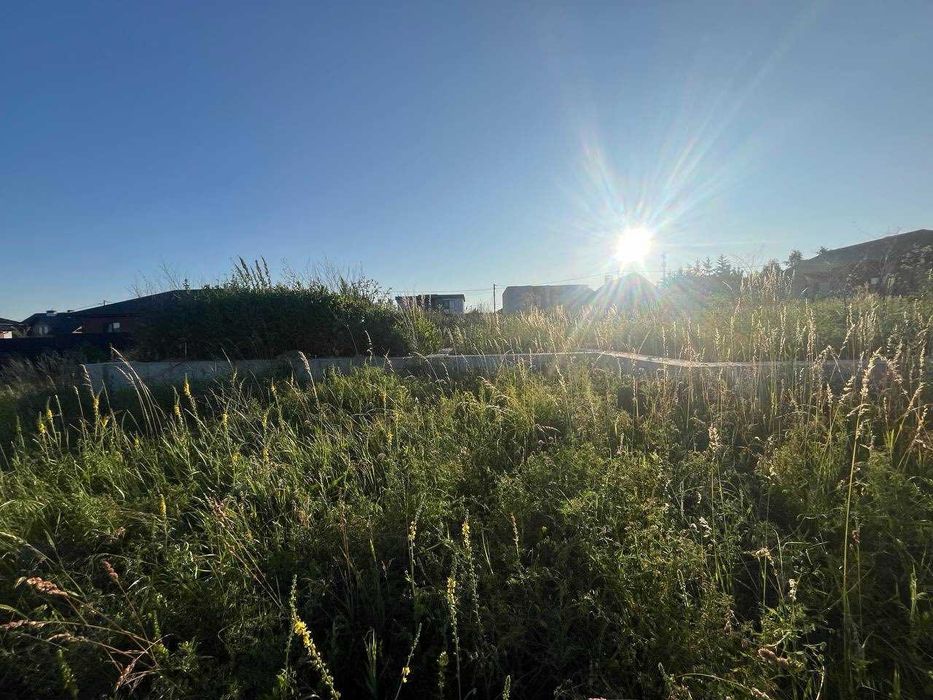 (8) Продам земельну ділянку в Прибузькому 8686