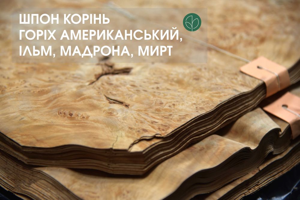 Шпон Корень Орех Американський, Ільм, Мадрона, Мирт /в наявності/