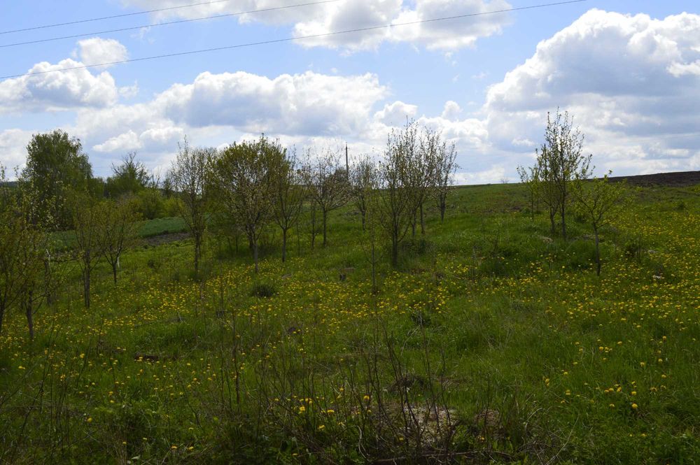Продаж будинку 35км від Тернополя з гаражем, садом і ділянкою на 25стк