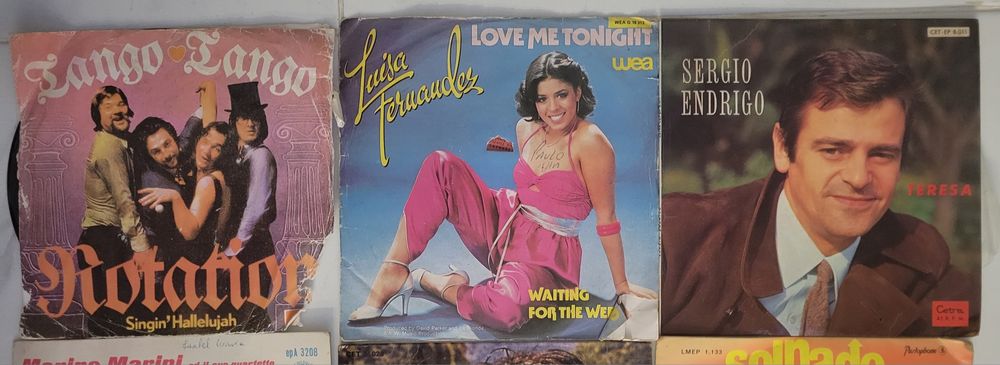 Lote  Discos Vínil dos Pequenos recolha no local