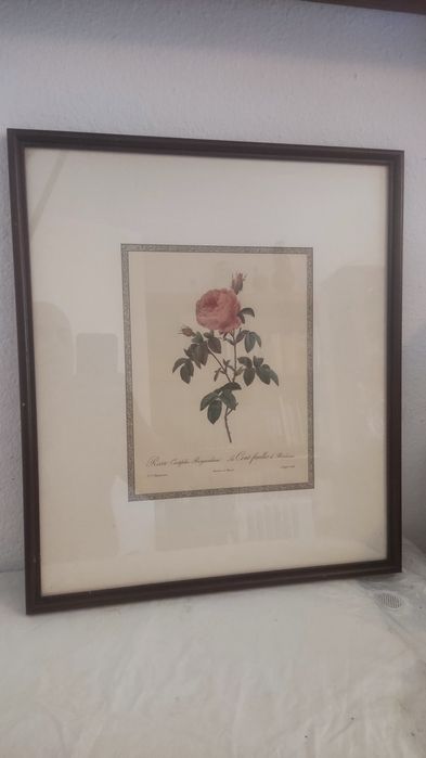 Quadros com moldura clássicos