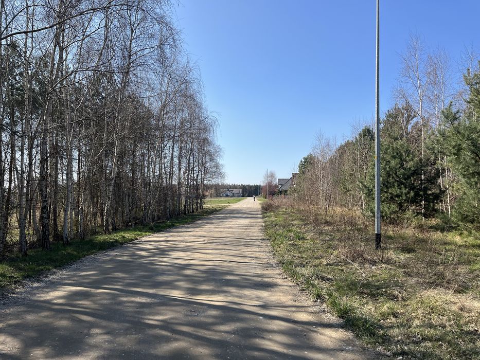 Działka budowlana Kotwasice przy lesie