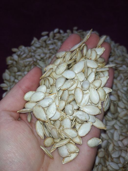 Семена тыквы гарбуза 400 гр.