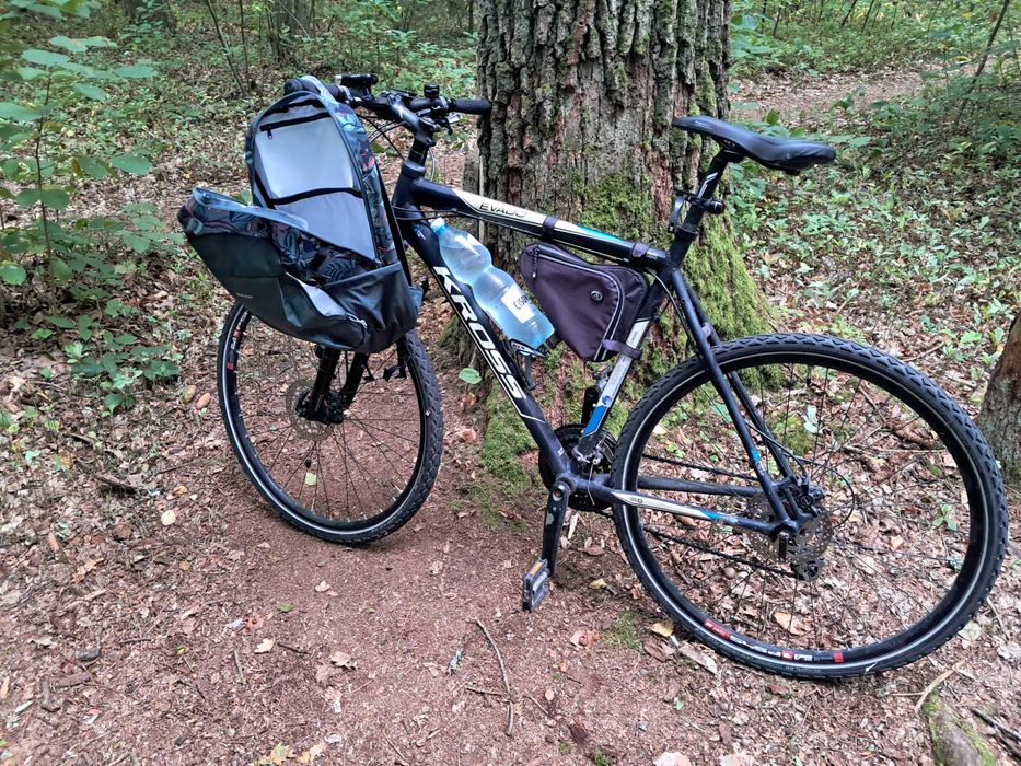 Rower Kross Evado XL