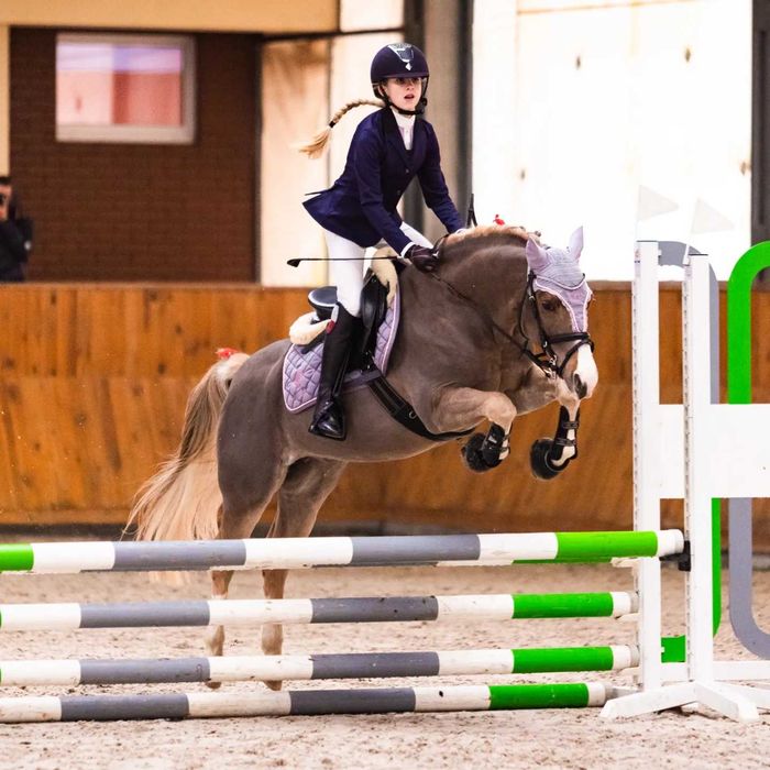 Super kuc grupa A2/C. Cena podana w Euro.