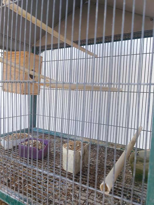Viveiro para aves
