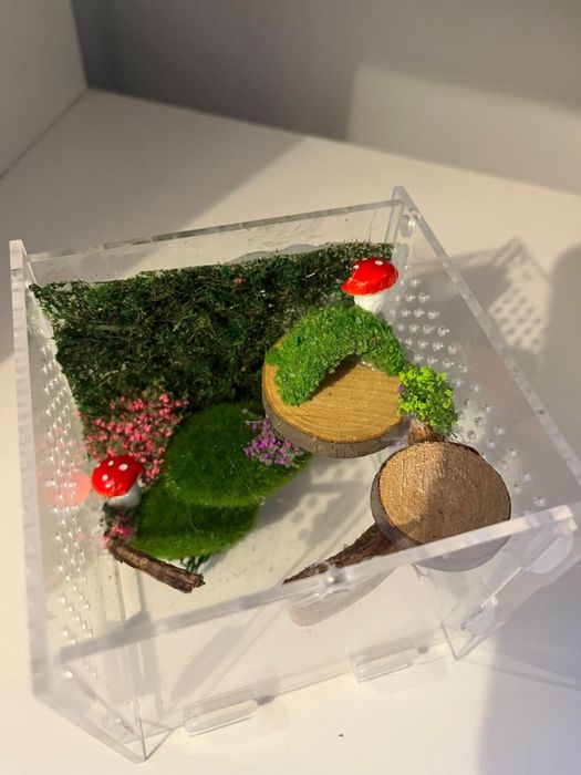 TANIO Terrarium  dla zwierząt NA ZAMOWIENIE skakun, ptasznik itd
