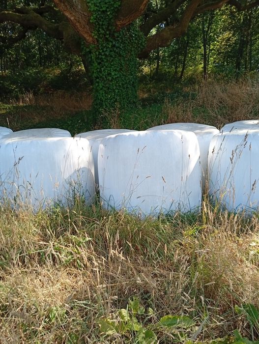 Rolos erva seca e fenovsilagem