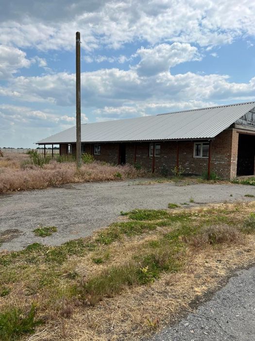 Молочно товарна ферма