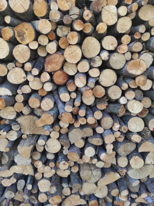 Drewno drzewo opałowe kominkowe opał suche transport